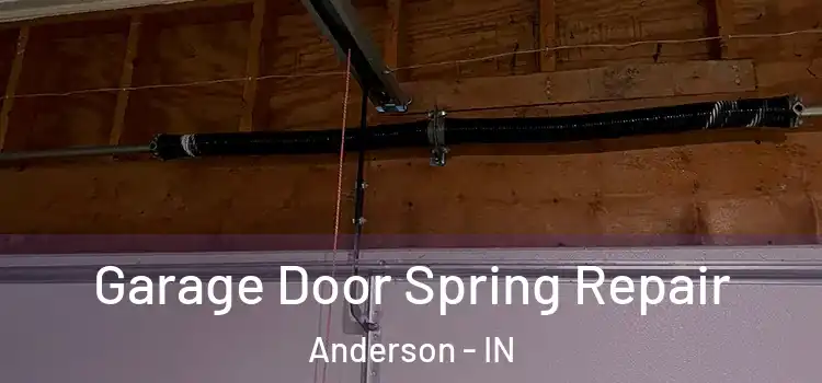  Garage Door Spring Repair Anderson - IN