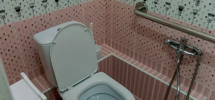 Meeting Diverse Needs With Accessible Restroom Solutions in Anderson, IN